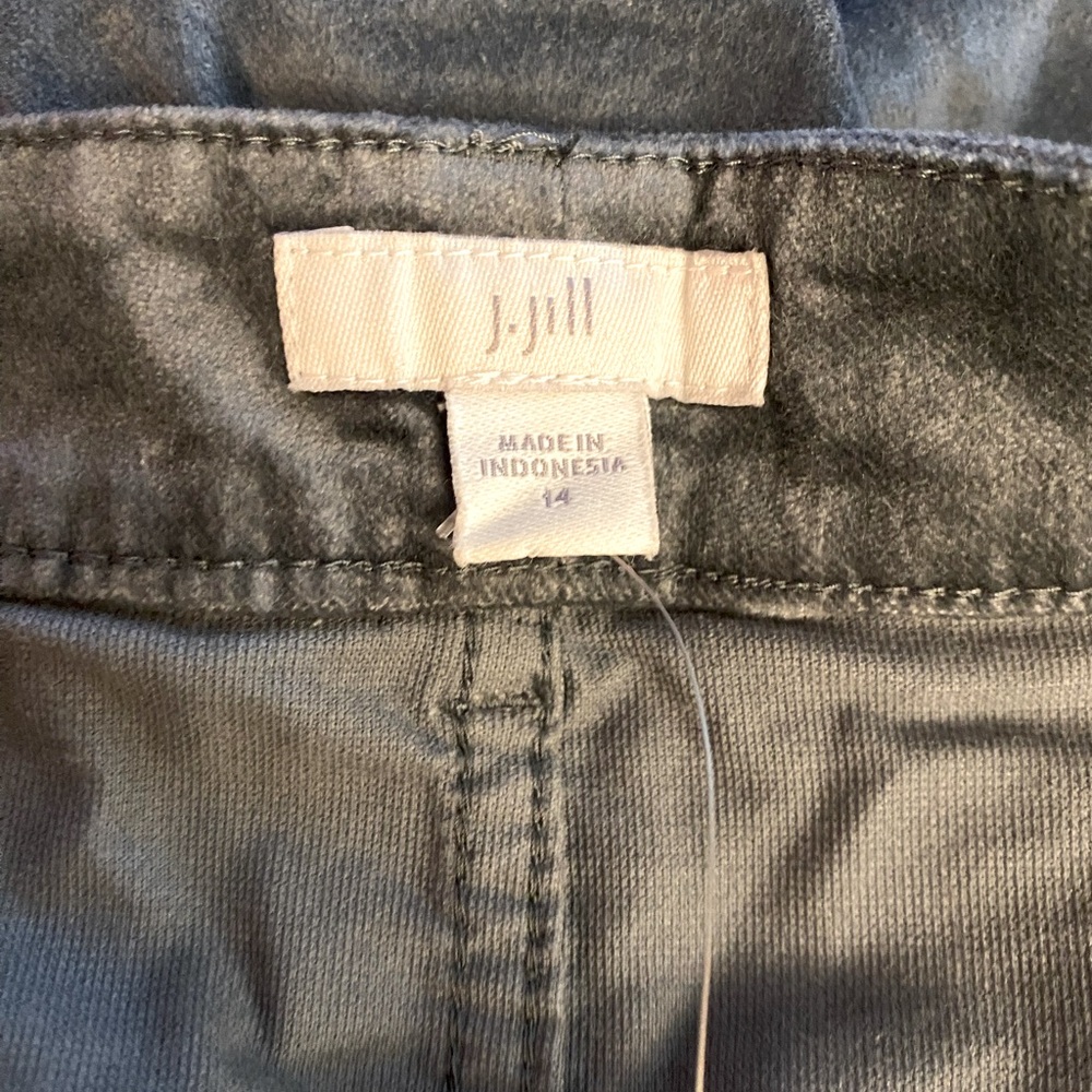 Women’s Size 14 (Brand: J~Jill) SmokeySage Green velveteen pants (orig: $109)